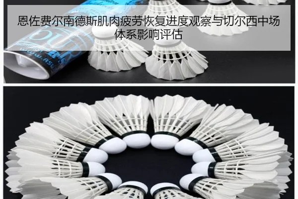 恩佐费尔南德斯肌肉疲劳恢复进度观察与切尔西中场体系影响评估