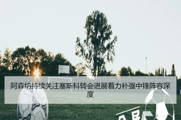 阿森纳持续关注塞斯科转会进展着力补强中锋阵容深度